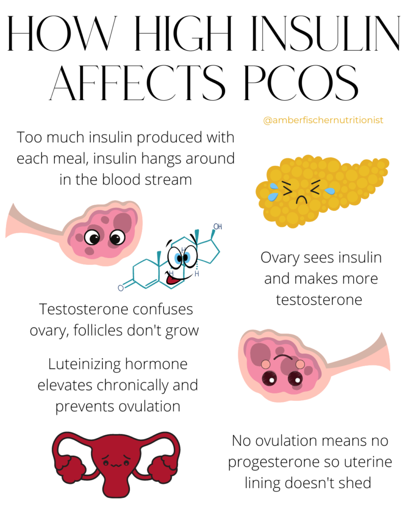 graphic showing how high insulin and insulin resistance impacts pcos and makes it harder to lose weight with pcos by causing testosterone and irregular ovulation. Insulin resistant PCOS and PCOS Insulin resistance are caused by cellular lack of sensitivity to insulin signals