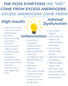 Graphic describing where pcos symptoms come from: the root causes of pcos symptoms from high androgens, high testosterone, high insulin, inflammation and adrenal dysfunction