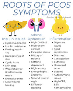Graphic describing root causes of pcos symptoms- pcos insulin resistance, pcos adrenal dysfunction, pcos inflammation